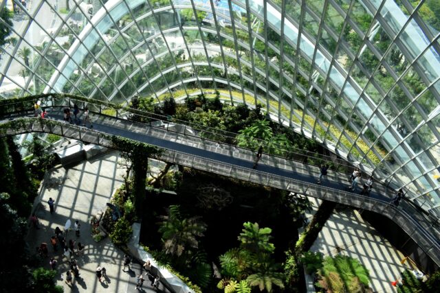 an image showing an office in greenery demonstrating how to save extra money